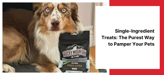 Single-Ingredient Treats: The Purest Way to Pamper Your Pets