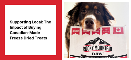 Supporting Local: The Impact of Buying Canadian-Made Freeze Dried Treats