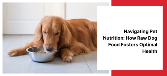 Navigating Pet Nutrition: How Raw Dog Food Fosters Optimal Health