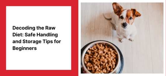 Decoding the Raw Diet: Safe Handling and Storage Tips for Beginners